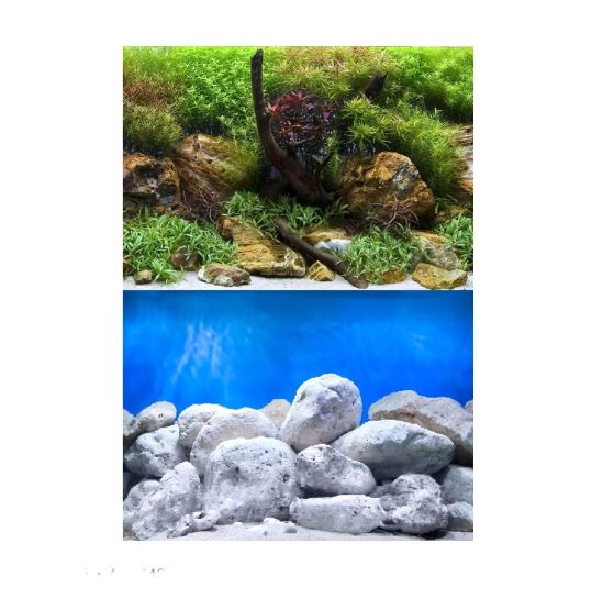 Фон для ак­ва­ри­ума Водный сад/Яркие камни