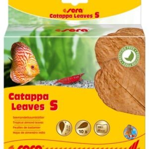 SERA Листья индийского миндаля Catappa Leaves S 14 см (10шт)